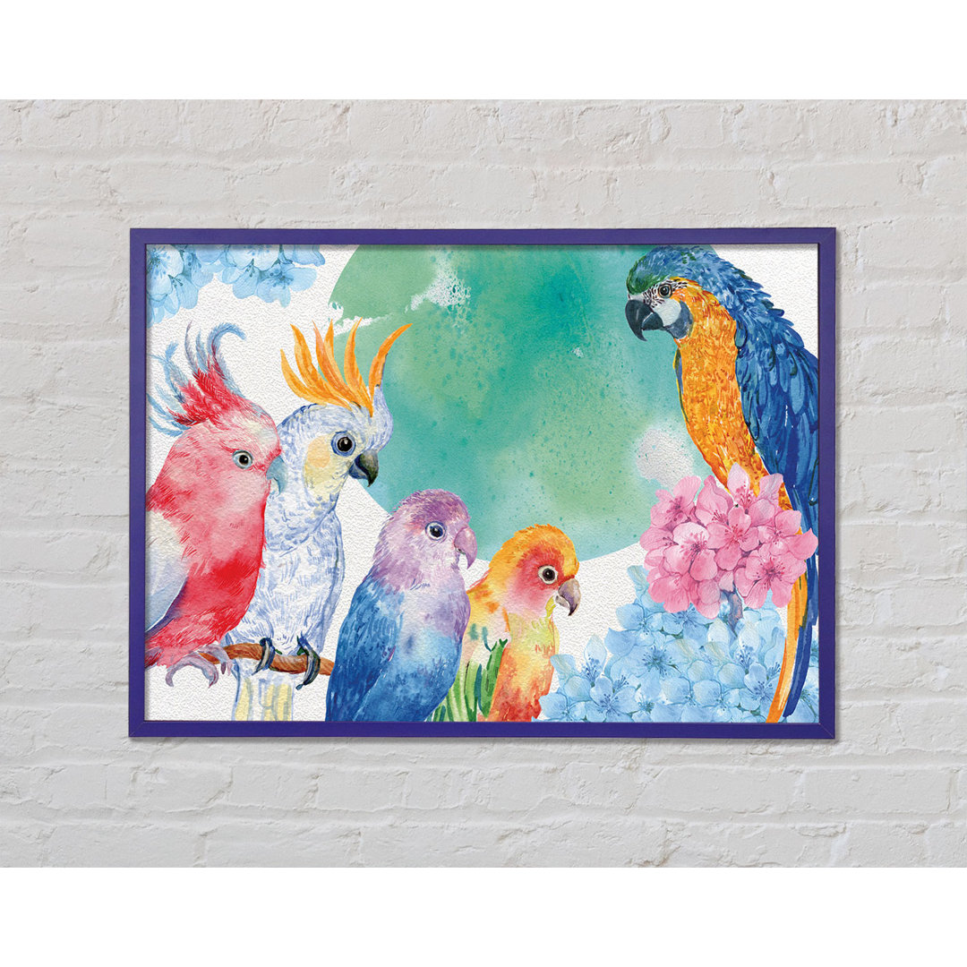 Array Of Watercolour Parrots - Einzelne Bilderrahmen Kunstdrucke