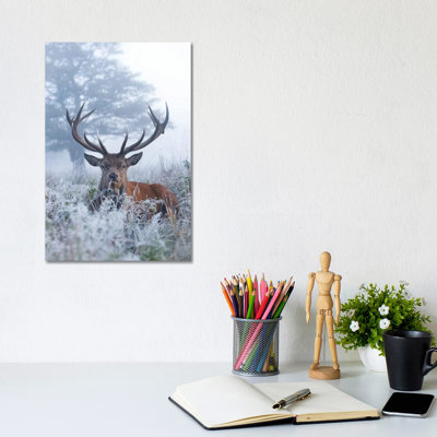 Frosty Stag by Max Ellis - Wrapped Canvas Painting