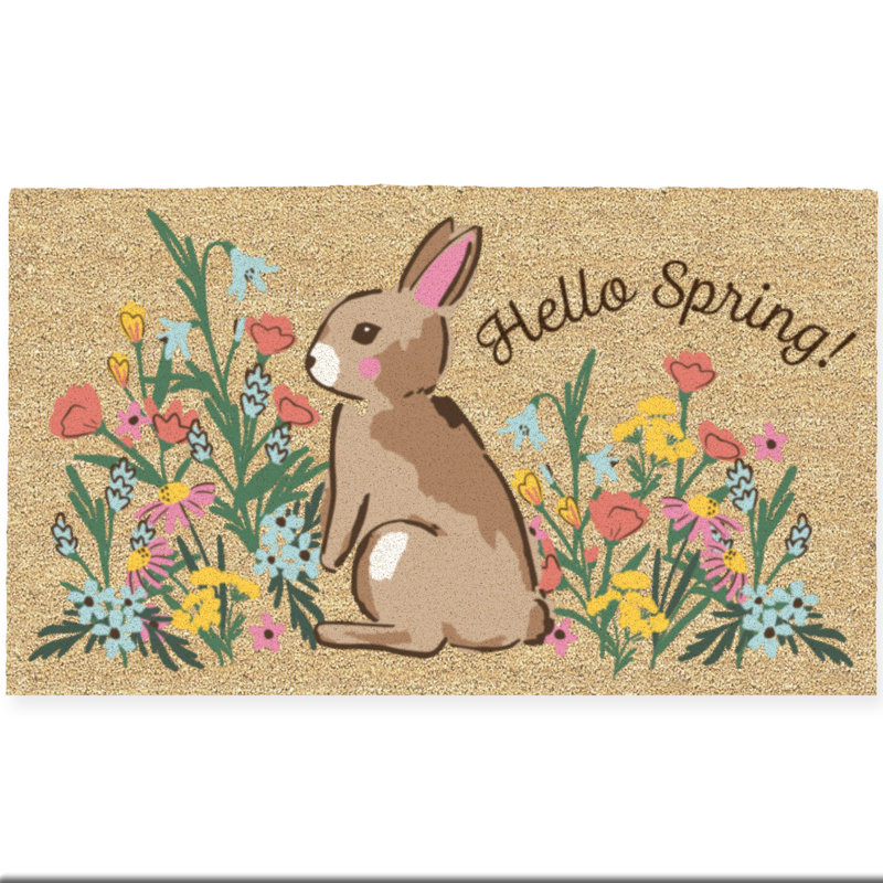 Carlyrose Non-Slip Outdoor Doormat