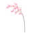 Rose est en rupture de stock