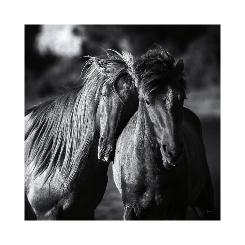 Buddies Crop by Aledanda - Wrapped Canvas Print, 30.48 cm H x 30.48 cm W