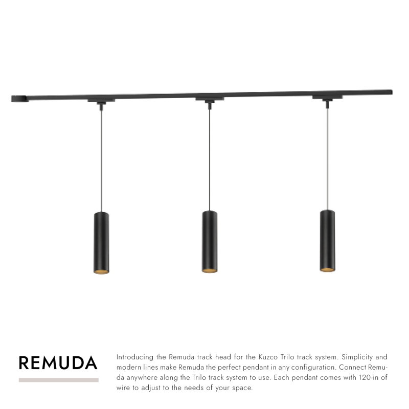 Ensemble de plafond à 3 lumières DEL Remilo à intensité variable noire 4000K Remuda, Noir mat