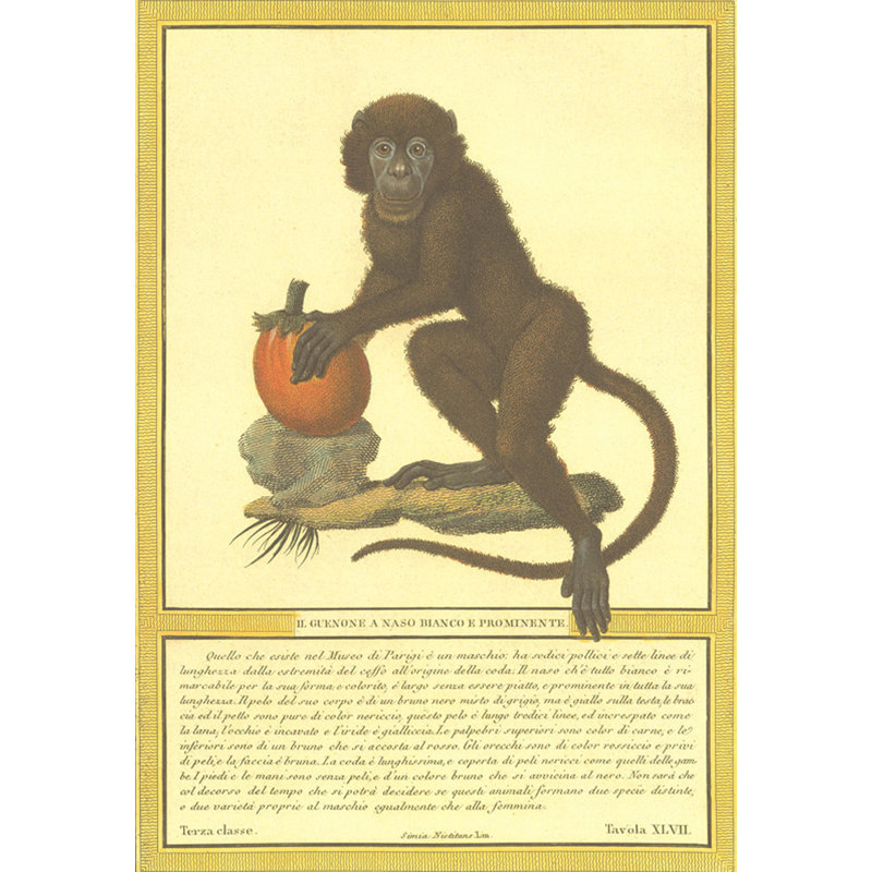 Monkey II, 18" H x 12" W