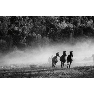 Pays du cheval