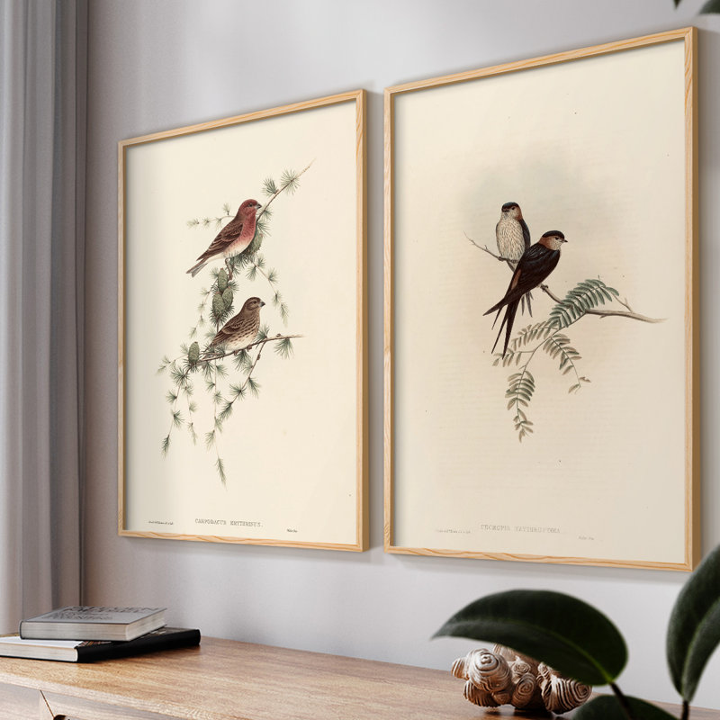 «Vintage Animal III», 2 pièces sur papier, Naturel, H 10 po x l 16 po