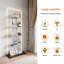 Glass 78.5 cm W Display Cabinet with Lighting-2033649000