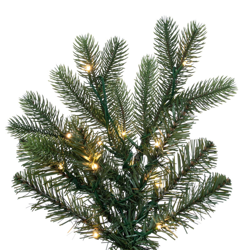 Sapin de Noël Douglas, 7,5 pi x 60 po, Illuminée