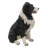 Border Collie Sitting Statue