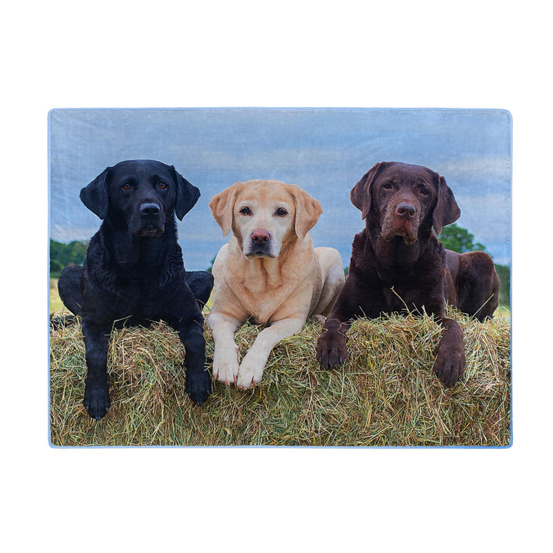 Jeté 3 amis Wilderness Raschel, 60 x 80 pouces