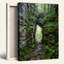 «Forest Arch», reproduction d'art sur toile, ensemble de 1-129058180-129058181