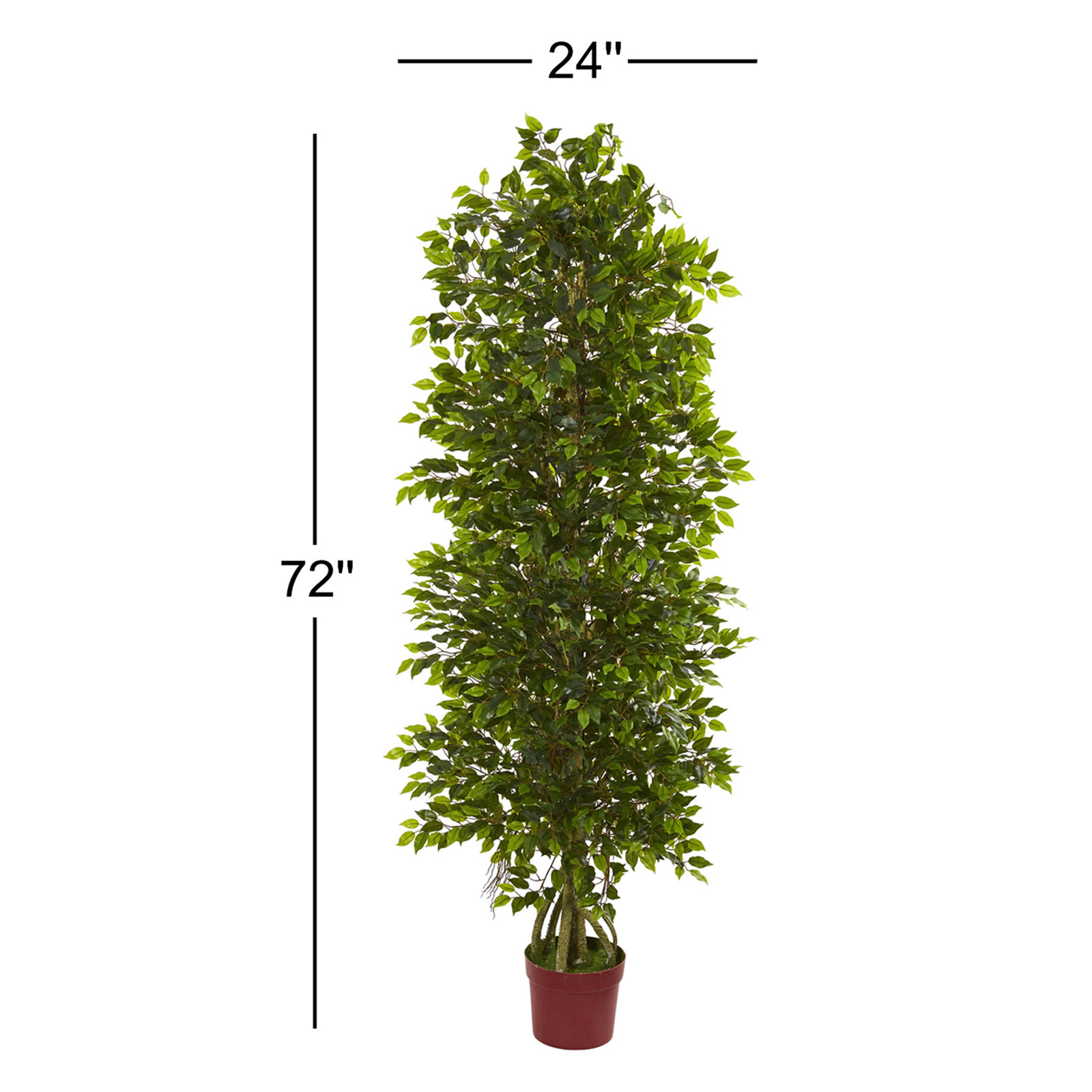 72" Ficus Tree in Pot