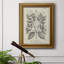 Toile encadrée botanique antique noire et blanche de qualité supérieure - prête à être accrochée-934312512