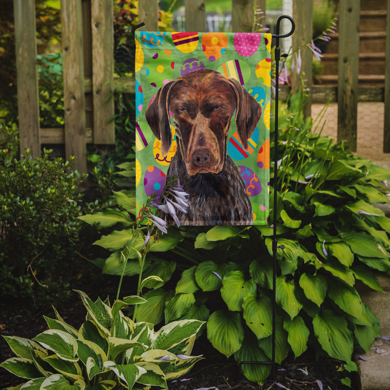 Drapeau de jardin Atara, Braque allemand à poil court