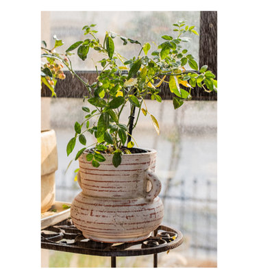 Januell Handmade Terracotta Table Vase