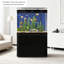 Aquariums aquatiques haute définition à filtre inférieur incurvé-1546281499-1546281500