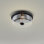 Barines Glass Flush Mount
