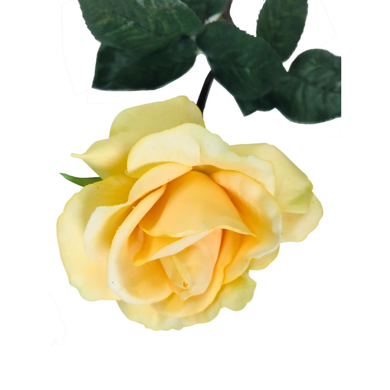 Arrangement floral de roses, Jaune
