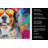 Bernese Mountain Dog Hippie Dawg Kitchen Towel