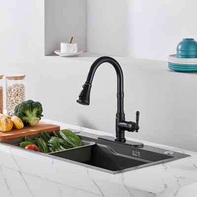 Pull Down Single Handle Kitchen Faucet with Deck Plate