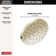 Rain Fixed Shower Head with H2Okinetic Technology, 2.5 GPM