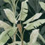 Borneo Emerald Wallpaper-238321740