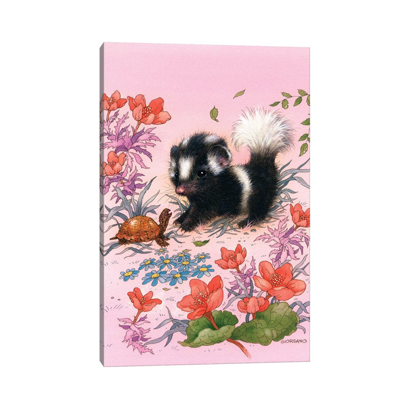 Baby Skunk - Wrapped Canvas Print, 20.32 cm H x 30.48 cm W