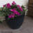 Shiye Pot Planter-66653520