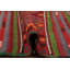 Tapis turc kilim 6 x 12