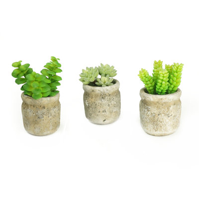 5'' Faux Succulent in Cement Pot