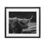 «Bold Scottish Highland», reproduction d'art sous verre encadrée, design par Crystal Lynn Collins-822532618-822532616