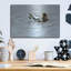 Art mural en métal luxueux «Preening» par Ron Parker, 24 po x 16 po-101657345