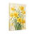 Plants & Flowers Daffodils On Soft Background-440005374