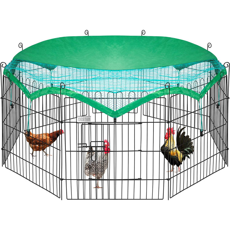 Dammian 1.5 ft² Chicken Run