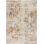 Diorio Abstract Indoor Rug