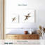 Petit colibri-1701265242