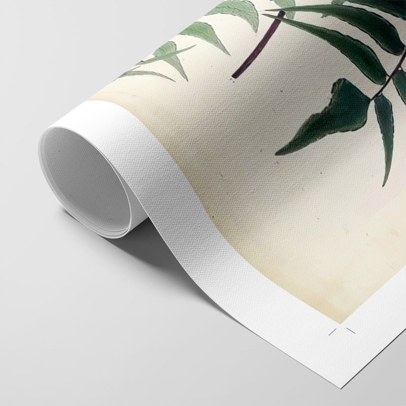 Collectionner Ferns VII - Reproduction de toile seulement - NON-CADRE, H 18 po x l 12 po