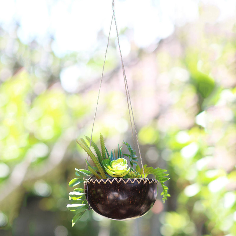 Northpoint Handmade Wood Hanging Planter