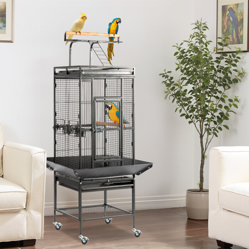 Cage à oiseaux 61 po en fer forgé avec plateau de jeu et support pour perroquets