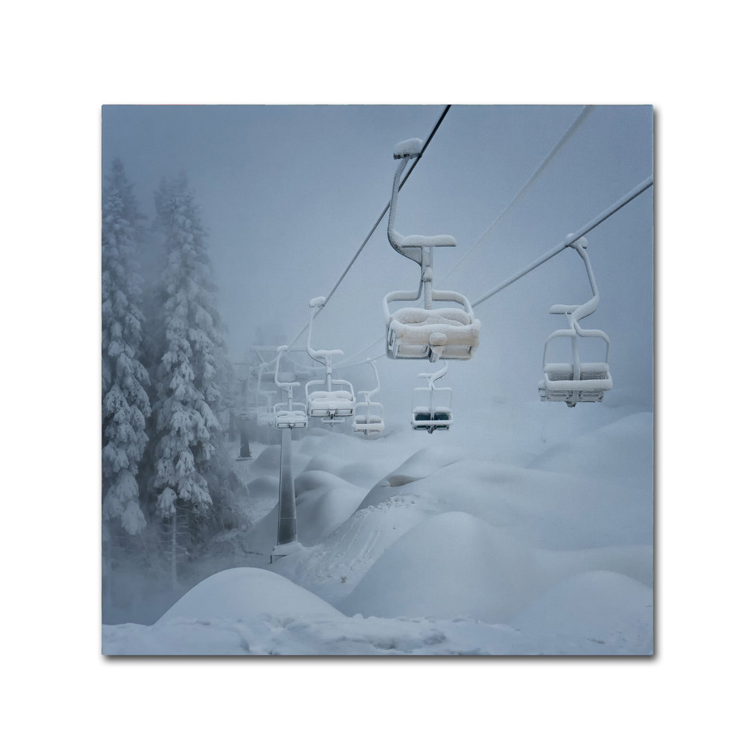 'Snow' Photographic Print on Wrapped Canvas Trademark Fine Art 