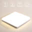 Briyona LED Flush Mount