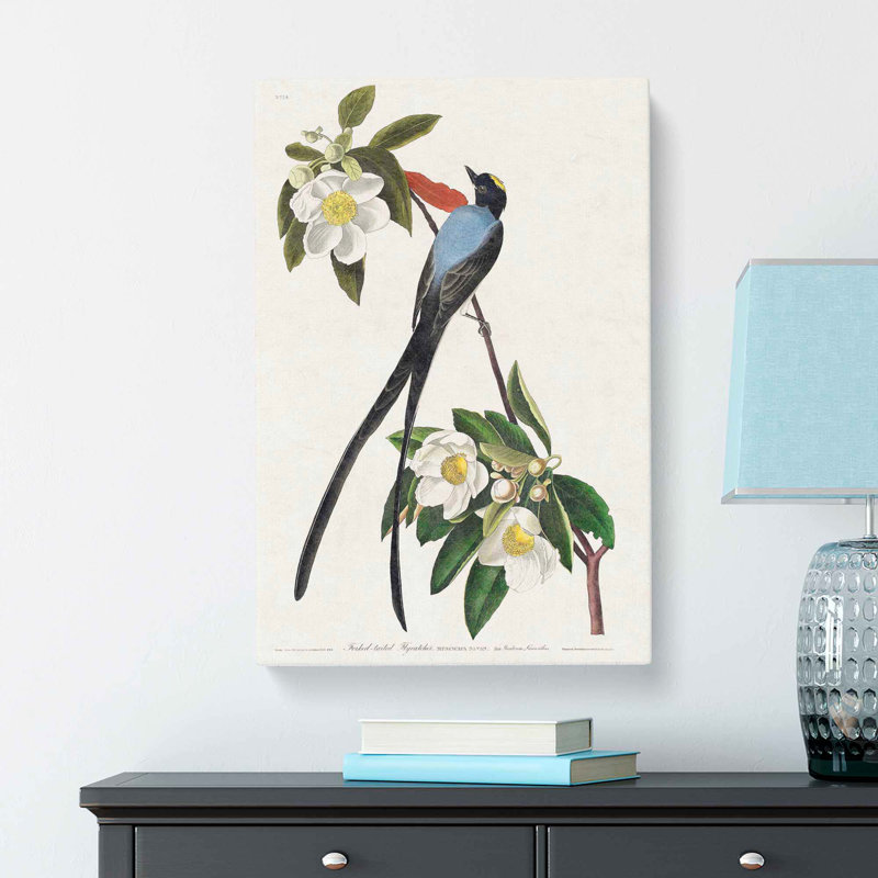 Fork Tailed Flycatcher Bird - Wrapped Canvas Painting, 60cm H x 40cm W x 3cm D