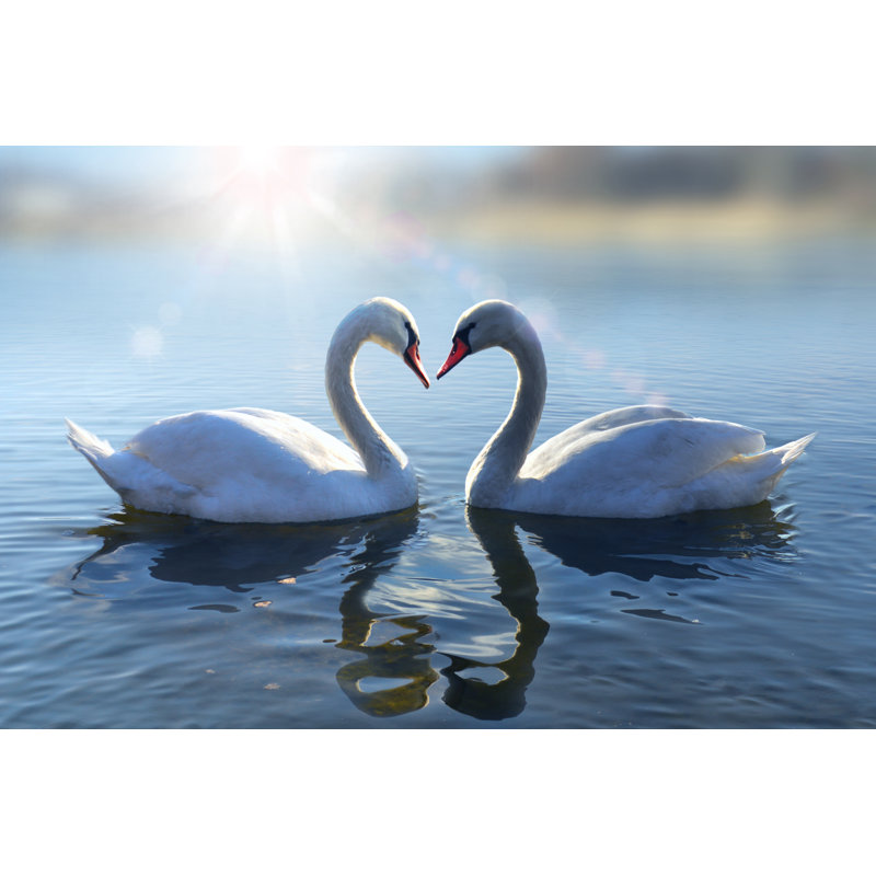 Atencio Swans On Blue Lake Water - Wrapped Canvas Print, 20cm H x 30cm W x 3.8cm D