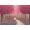 " Forest Pathway Spring Crop " by James Wiens Mixed Media Print