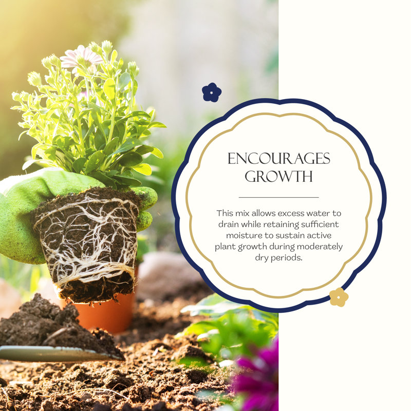 Michigan Peat Growing Kit