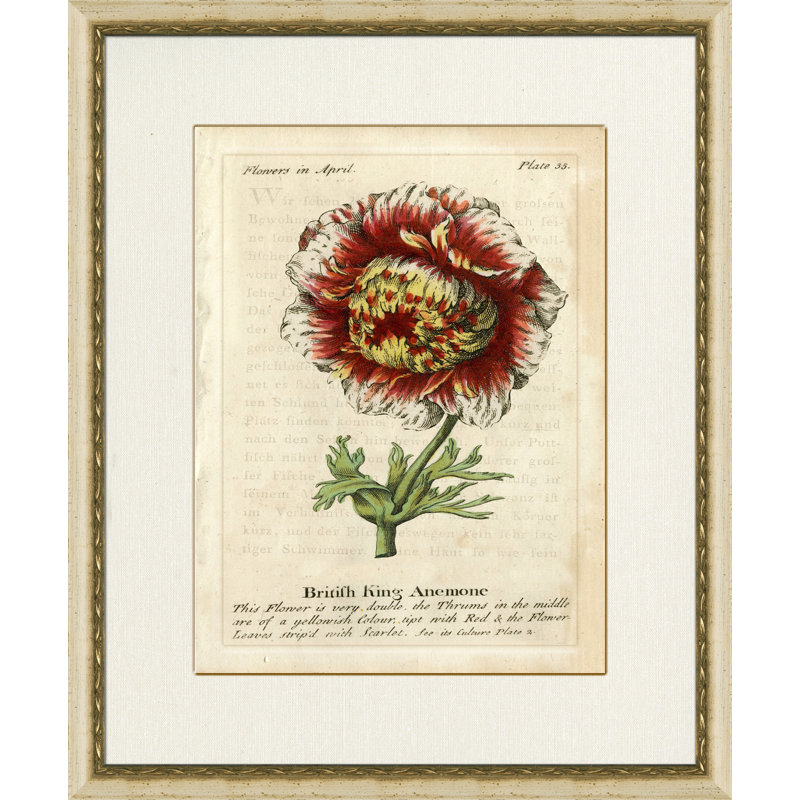 British King Anemone Painting