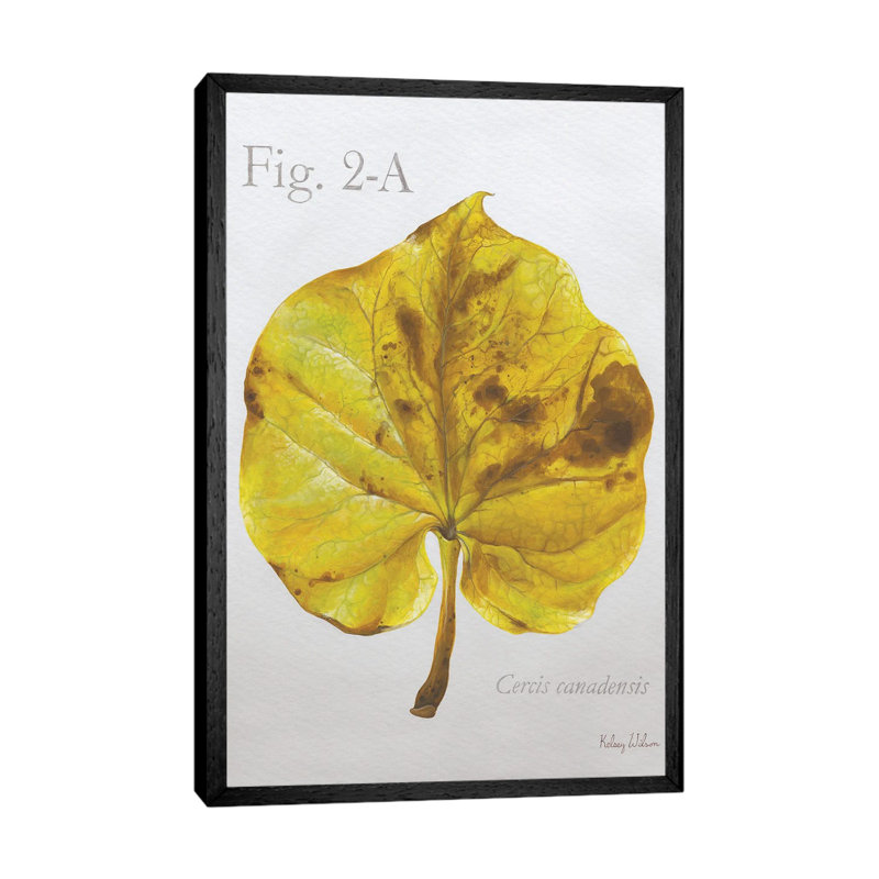Autumn Leaves On Gray IV-Redbud 1 Piece Wall Art on Canvas, 66.04 cm H x 45.72 cm W, Black Framed
