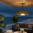 20 Inch Outdoor Indoor Caged Ceiling Fan with LED Lights Rattan With IP44 Waterproof-145436385
