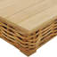 Ariella 4 Seater Rattan Conversation Set