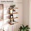 Aimie 2 Piece Bracket Shelf