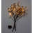 30'' Lighted Trees & Branches